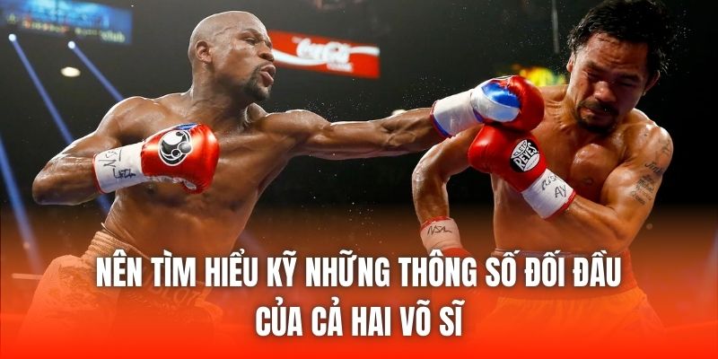 Nên tìm hiểu kỹ những thông số đối đầu của cả hai võ sĩ